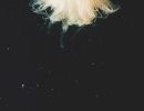f5004 aiki linette dyring space or jellyfish