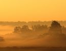 f5010 annette ranten morning fog