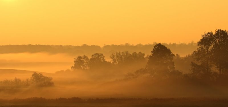 f5010 annette ranten morning fog