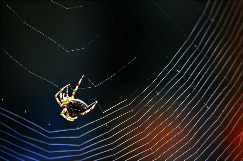 f3007 hans erik hjorth hansen spider