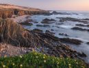 f6001   kaare selvejer   aftenlys almograve
