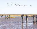 f6022   knud ladegaard   wadershavet i oktober