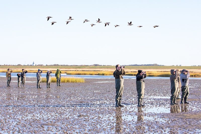 f6022   knud ladegaard   wadershavet i oktober