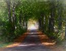 f6033 rene jensen road to peace