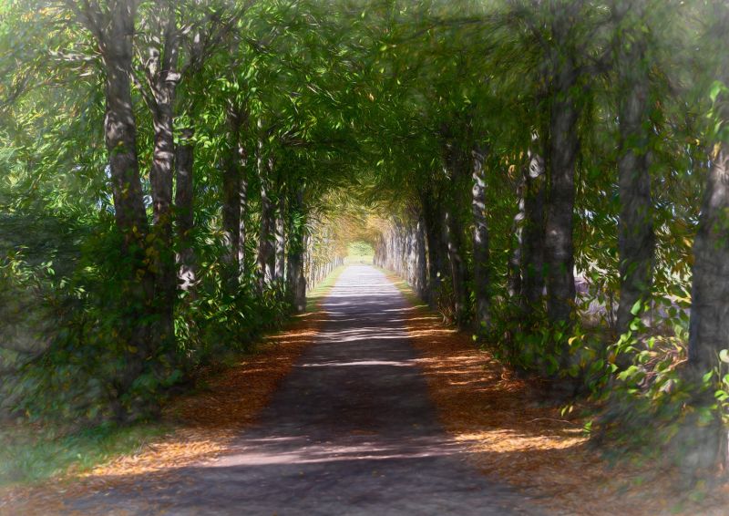f6033 rene jensen road to peace