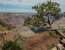 f8002 j. jorgen hansen grand canyon vue