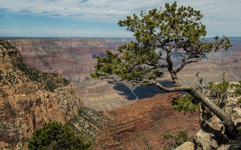 f8002 j. jorgen hansen grand canyon vue