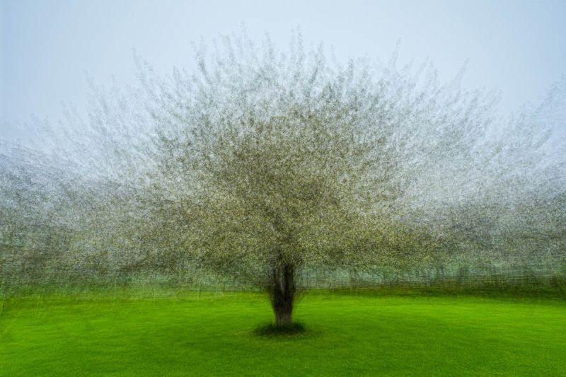 f6010   erling c. hollmann   around the tree  langeland