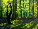 f6028 rene jensen the golden hour art