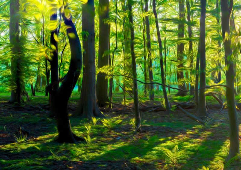 f6028 rene jensen the golden hour art