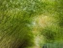 f6038 sten sagen loeber