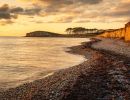 f6044   kaare selvejer   gulstav i aftenlys
