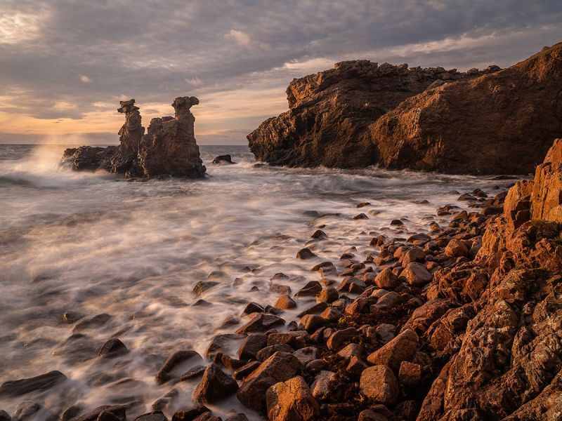 f6045   kaare selvejer   kamelhovederne i aftenlys