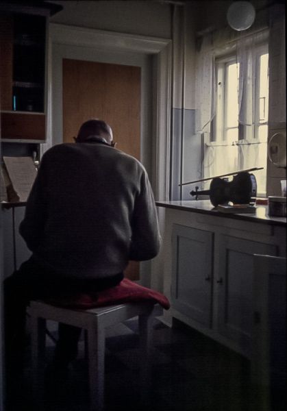 f3010 ole juel nielsen alfred i koekkenet med violinen
