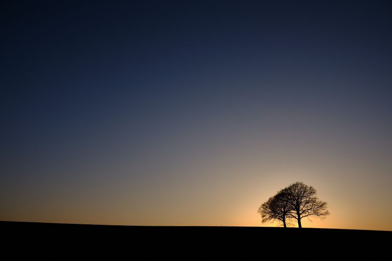 f3034   frank thomsen   solnedgang troense