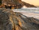 f6005   kaare selvejer   pessegueiro