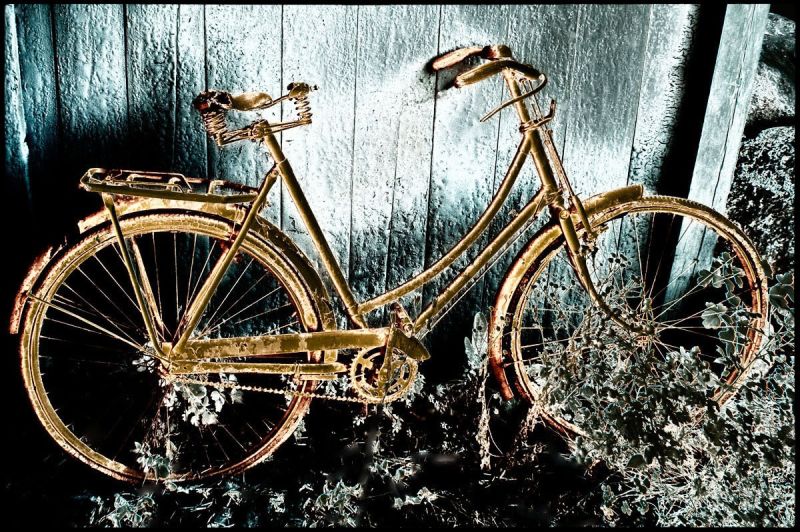 f8005 bent k danielsen guldcykel
