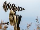 f8209 kresten thomsen forfalden bro