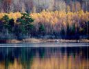 f8303 rene linnebjerg fall