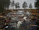 f8409   kjeld christensen   flowing water