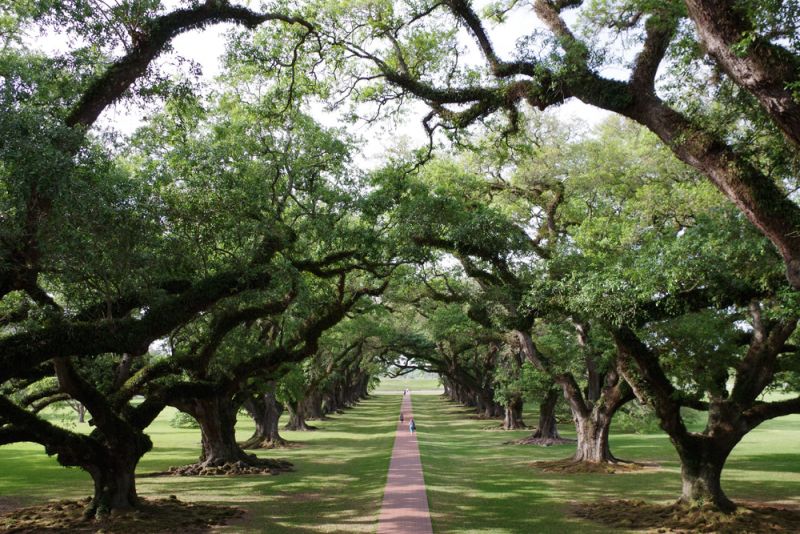 f1048 kurt joergensen oak alley