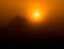 f3010   soeren loewenstein   sunset in fog