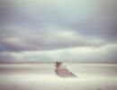 f7011   bernt bang poulsen   pinhole