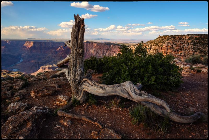 f8007 bent k. danielsen traestub grand canyon