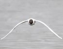 m1002   arne behrens   maage