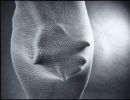 m8006 bent k. danielsen body sculpture