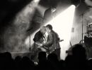 m8307   stefan mehl ludvigsen   malurt
