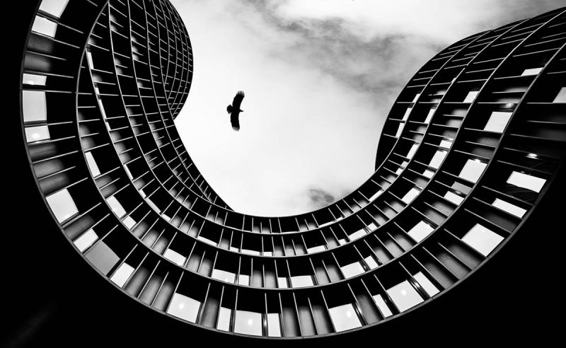 m7003 nicolai godvin   birdiecurves