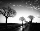 m7005 soren poulsen   morgen alle