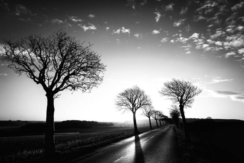 m7005 soren poulsen   morgen alle