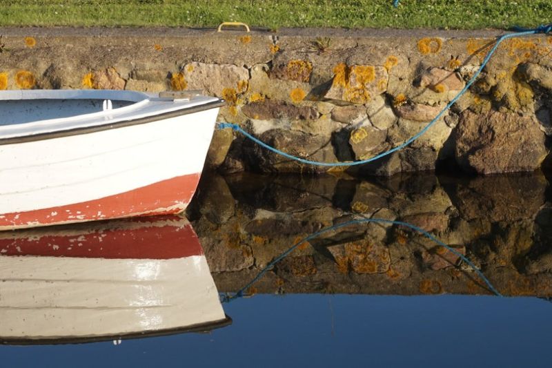 s2004a janne degn skalkam vandspejl.jpg
