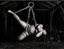s5001c stefan mehl ludvigsen hanging c