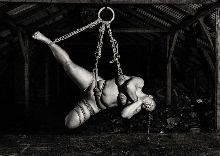 s5001c stefan mehl ludvigsen hanging c