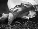 s8201b   carsten hoegh   ferns