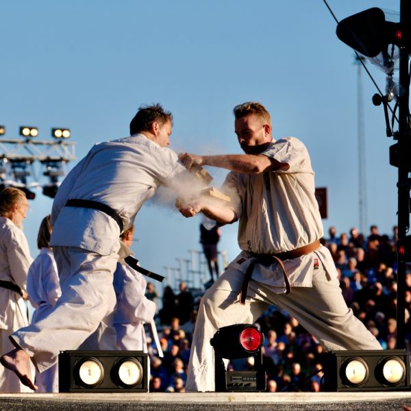 s3002a flemming navntoft jui jitsu a