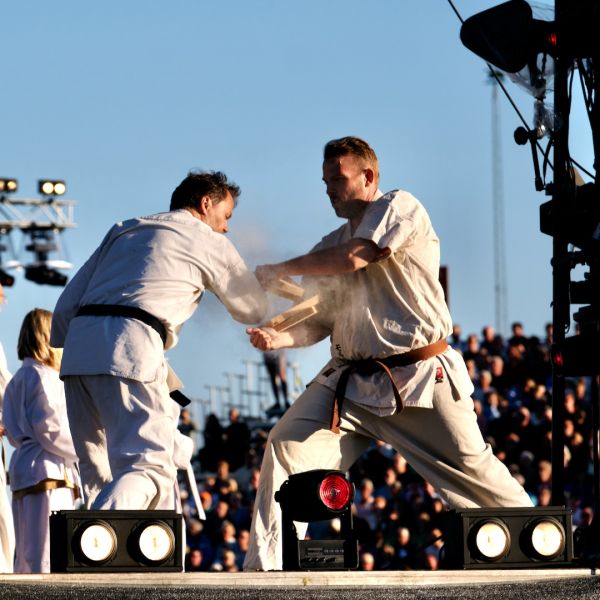 s3002b flemming navntoft jui jitsu b