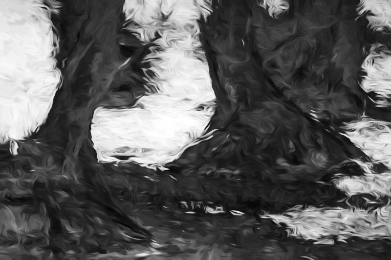s6009a rene jensen the art of the forest
