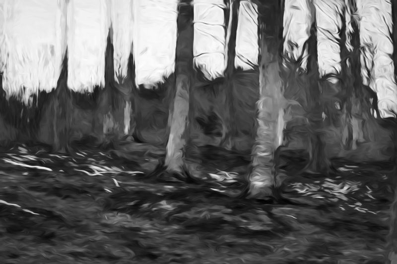 s6009b rene jensen the art of the forest