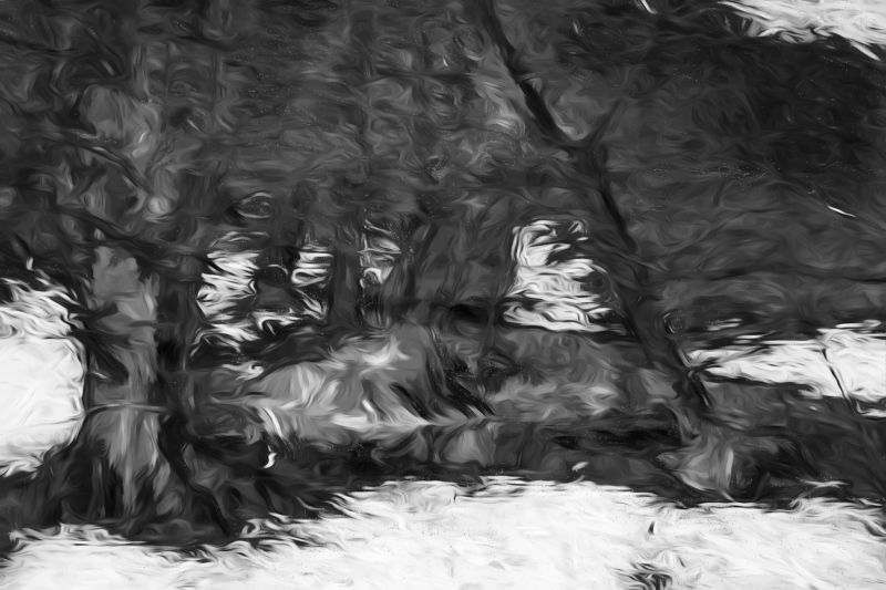 s6009c rene jensen the art of the forest