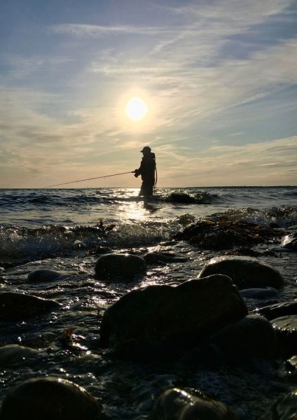 s8201b julie flygenring fisketur 