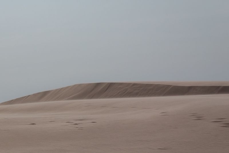 s6010a   maybritt hodal jensen   desert sand