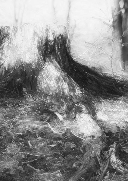s6004a rene jensen the art of the forest