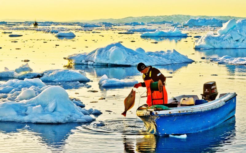 t6004 henrik r kristensen greenland halibut fisherman