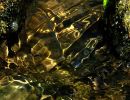 t8101 liquid light   macro vandfald hpx