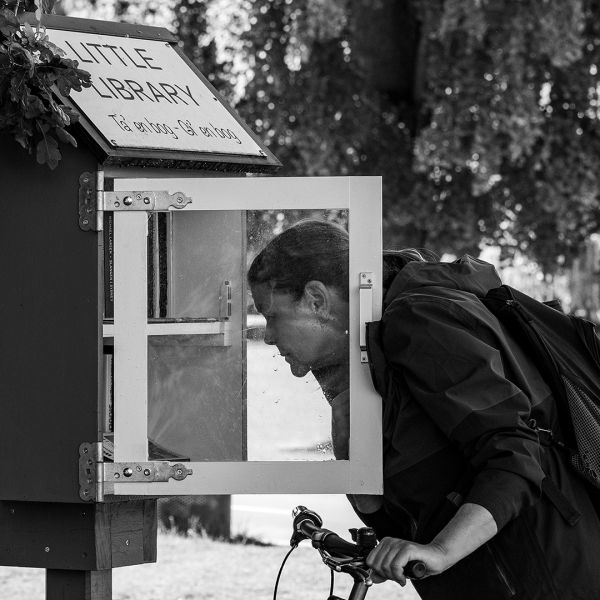 t7003   soren staun   little library