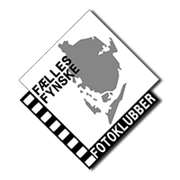 fff